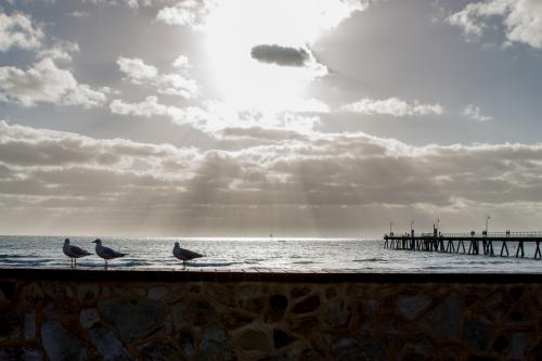 Glenelg Beach