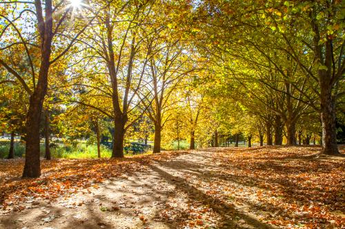 Moulder Park