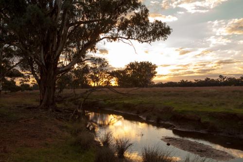 Creek Sunset