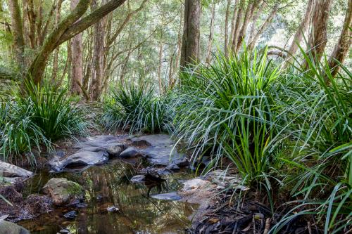 Creek